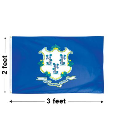 2'x3' Connecticut Nylon Outdoor Flag